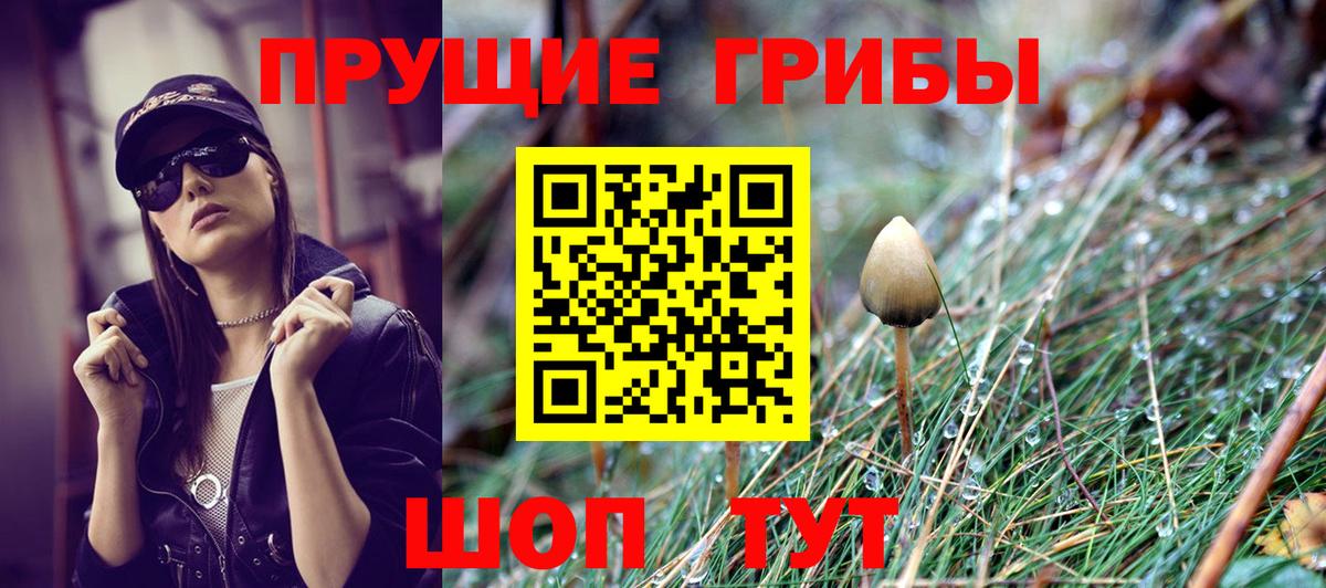 Галлюциногенные грибы мицелий Каменск-Шахтинский